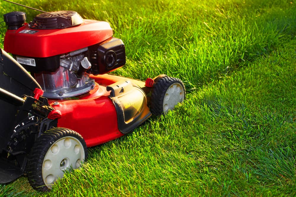 Lawn Mower — Outdoor Power Equipment Southern Highlands, NSW