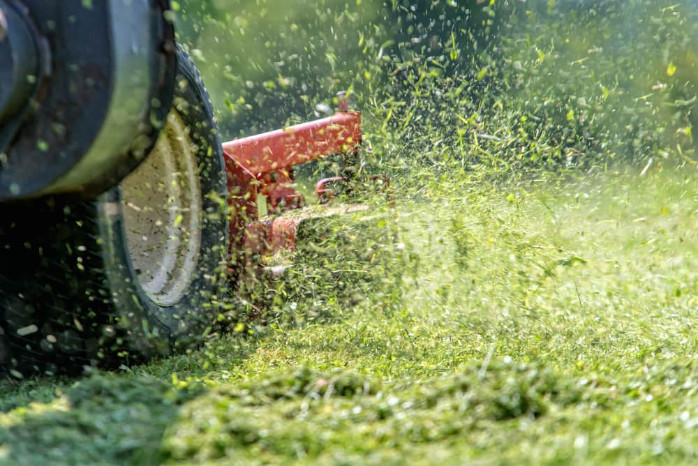 Lawn Mowers — Outdoor Power Equipment Southern Highlands, NSW