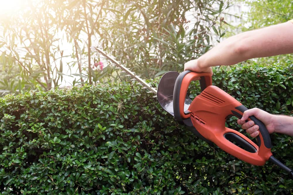 Hedge Trimmer — Outdoor Power Equipment Southern Highlands, NSW